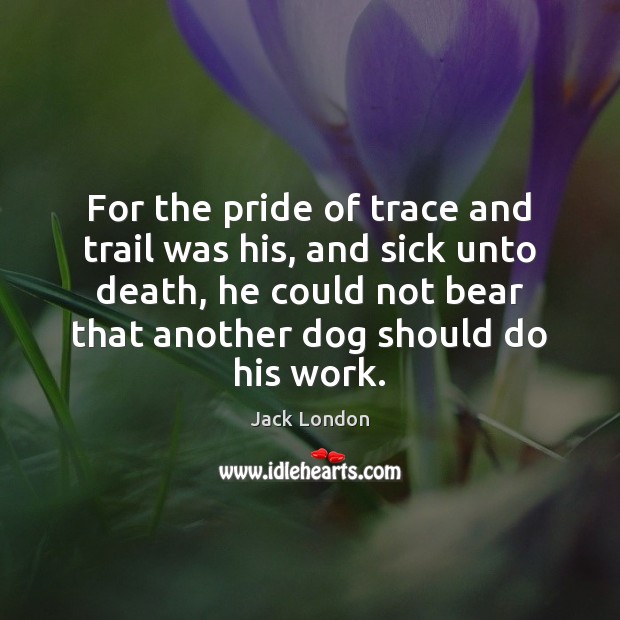For the pride of trace and trail was his, and sick unto Jack London Picture Quote