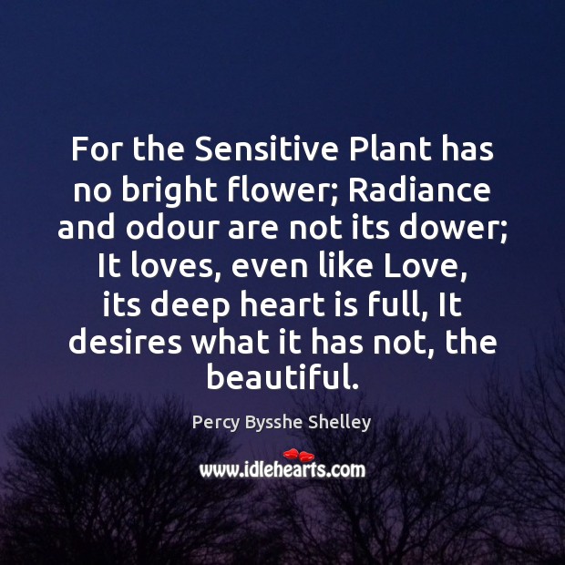 For the Sensitive Plant has no bright flower; Radiance and odour are Flowers Quotes Image