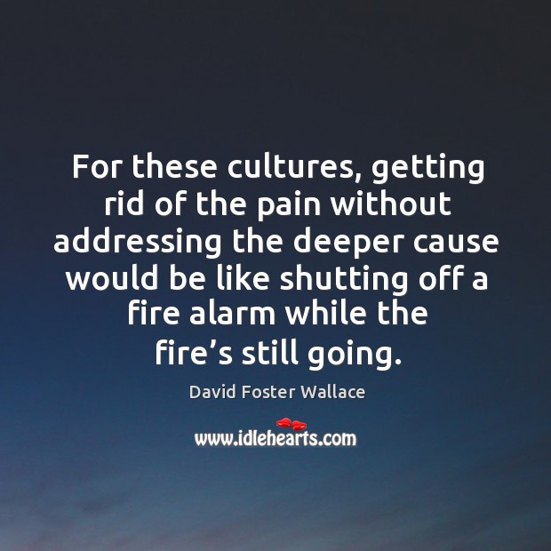 For these cultures, getting rid of the pain without addressing the deeper cause would David Foster Wallace Picture Quote