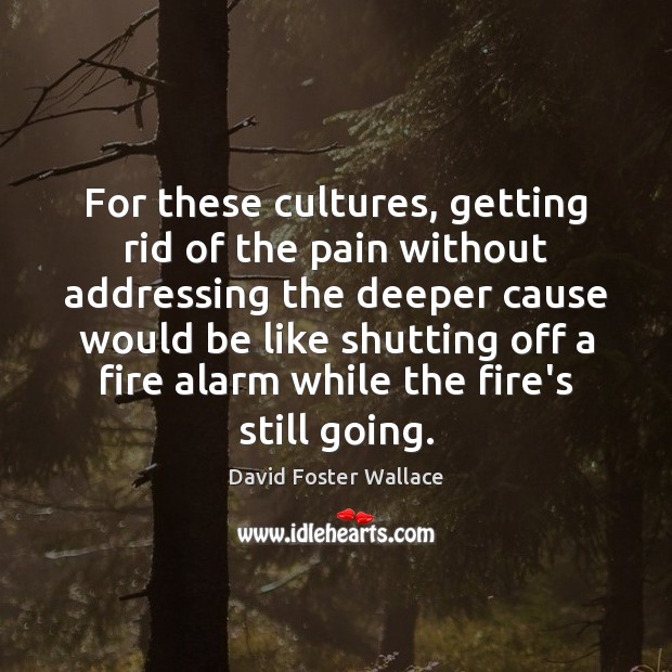 For these cultures, getting rid of the pain without addressing the deeper David Foster Wallace Picture Quote