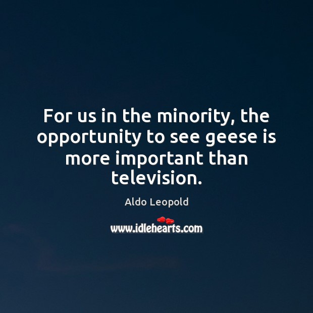 For us in the minority, the opportunity to see geese is more important than television. Opportunity Quotes Image