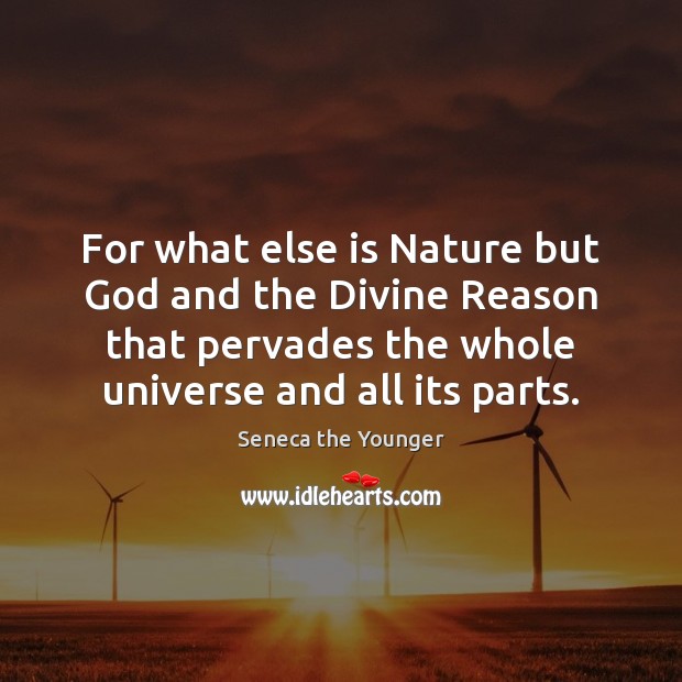 For what else is Nature but God and the Divine Reason that Image