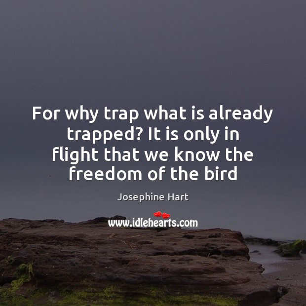 For why trap what is already trapped? It is only in flight Josephine Hart Picture Quote