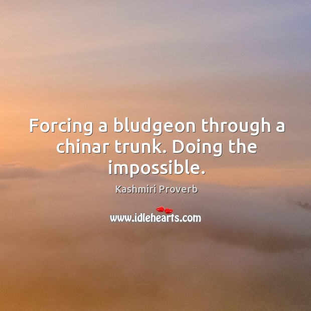 Forcing a bludgeon through a chinar trunk. Doing the impossible. Kashmiri Proverbs Image