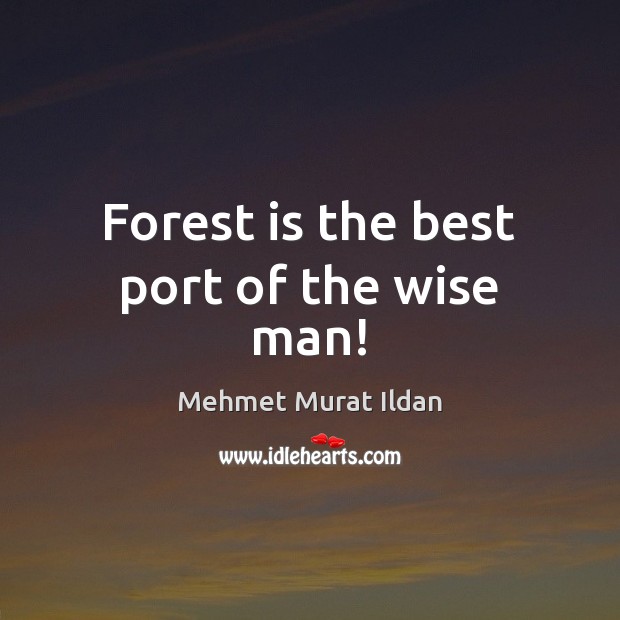 Forest is the best port of the wise man! Mehmet Murat Ildan Picture Quote