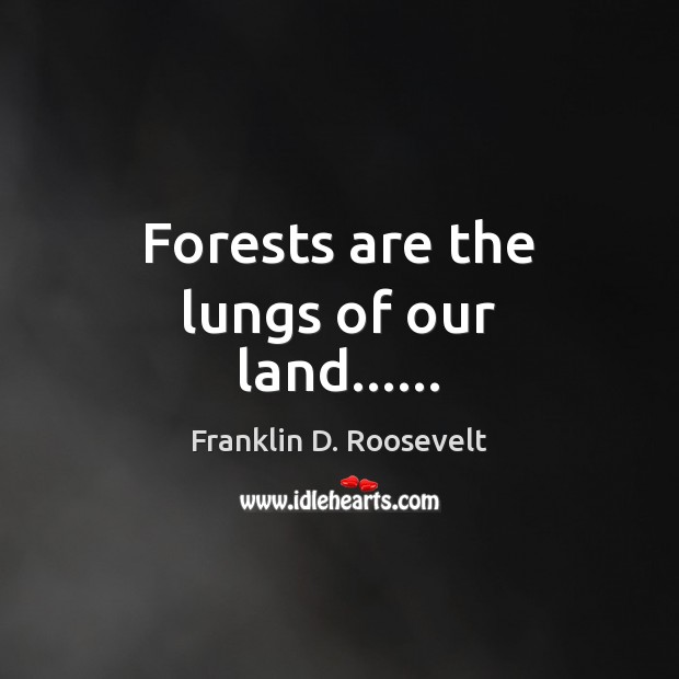 Forests are the lungs of our land…… Franklin D. Roosevelt Picture Quote