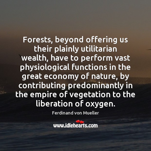 Forests, beyond offering us their plainly utilitarian wealth, have to perform vast Ferdinand von Mueller Picture Quote