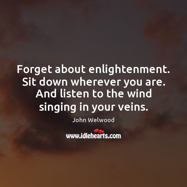 Forget about enlightenment. Sit down wherever you are. And listen to the John Welwood Picture Quote