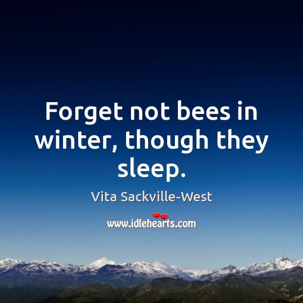 Forget not bees in winter, though they sleep. Vita Sackville-West Picture Quote