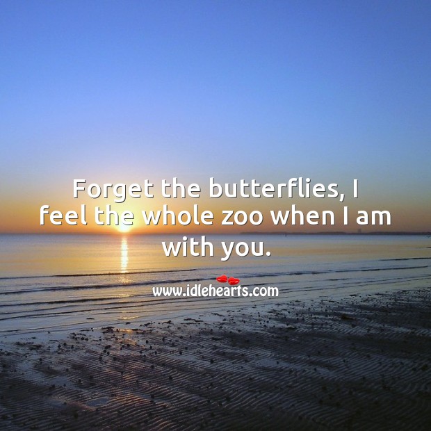 Forget the butterflies, I feel the whole zoo when I am with you. Funny Love Quotes Image