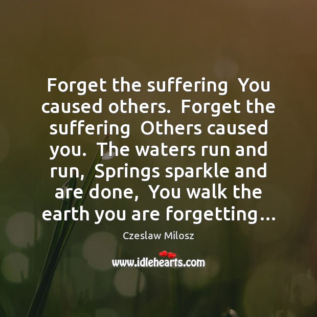 Forget the suffering  You caused others.  Forget the suffering  Others caused you. Image