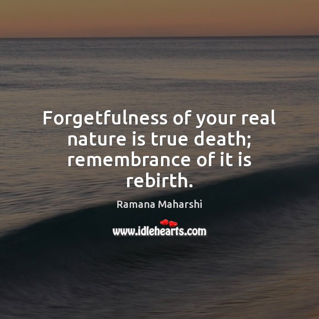 Forgetfulness of your real nature is true death; remembrance of it is rebirth. Ramana Maharshi Picture Quote