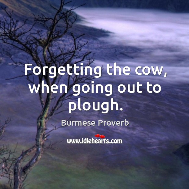 Forgetting the cow, when going out to plough. Burmese Proverbs Image