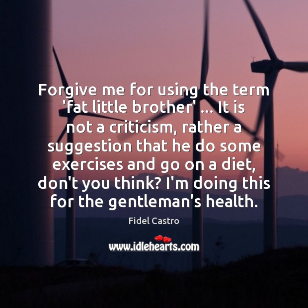 Forgive me for using the term ‘fat little brother’ … It is not Image