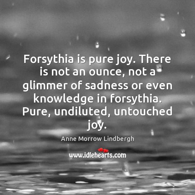Forsythia is pure joy. There is not an ounce, not a glimmer Anne Morrow Lindbergh Picture Quote