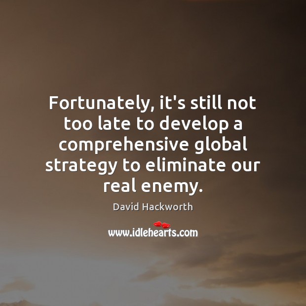 Fortunately, it’s still not too late to develop a comprehensive global strategy Image