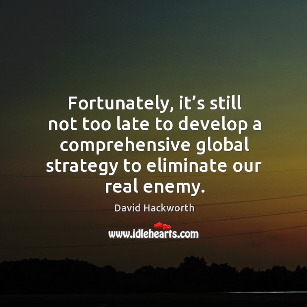 Fortunately, it’s still not too late to develop a comprehensive global strategy to eliminate our real enemy. David Hackworth Picture Quote