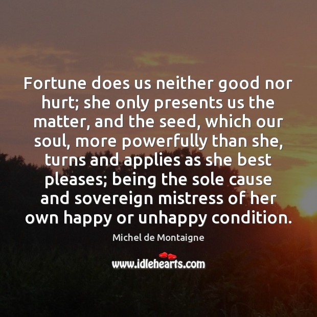 Fortune does us neither good nor hurt; she only presents us the Hurt Quotes Image