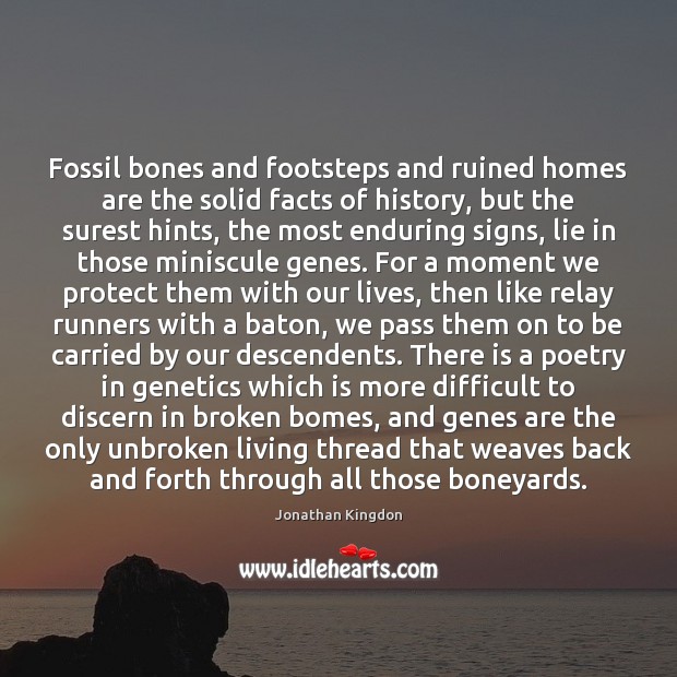 Fossil bones and footsteps and ruined homes are the solid facts of 