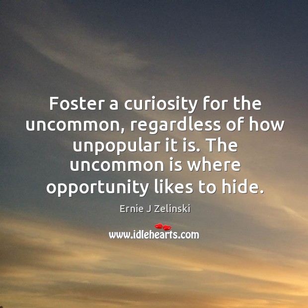 Foster a curiosity for the uncommon, regardless of how unpopular it is. Ernie J Zelinski Picture Quote