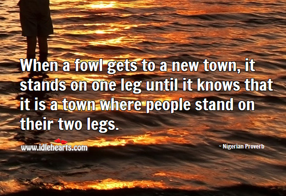 When a fowl gets to a new town, it stands on one leg until it knows that it is a town where people stand on their two legs. Nigerian Proverbs Image