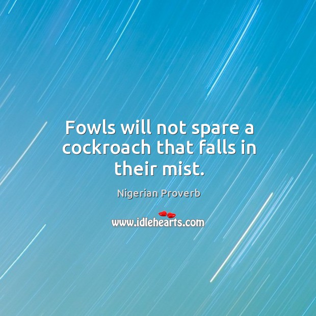 Fowls will not spare a cockroach that falls in their mist. Nigerian Proverbs Image