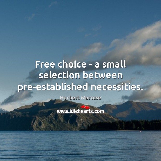 Free choice – a small selection between pre-established necessities. Image