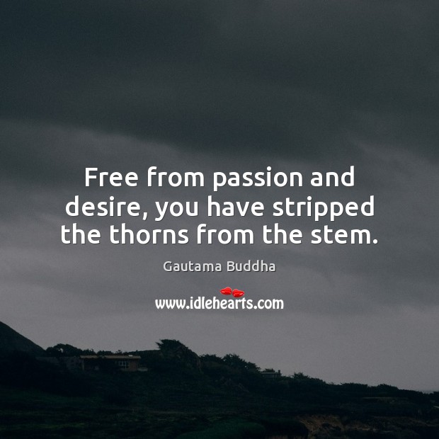 Free from passion and desire, you have stripped the thorns from the stem. Gautama Buddha Picture Quote