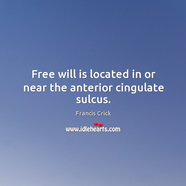 Free will is located in or near the anterior cingulate sulcus. Francis Crick Picture Quote