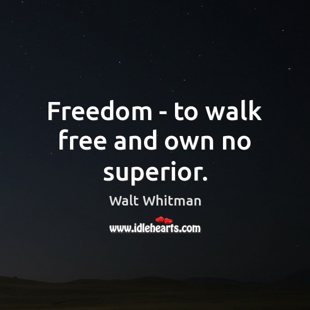 Freedom – to walk free and own no superior. Walt Whitman Picture Quote