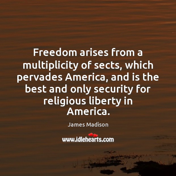 Freedom arises from a multiplicity of sects, which pervades America, and is James Madison Picture Quote