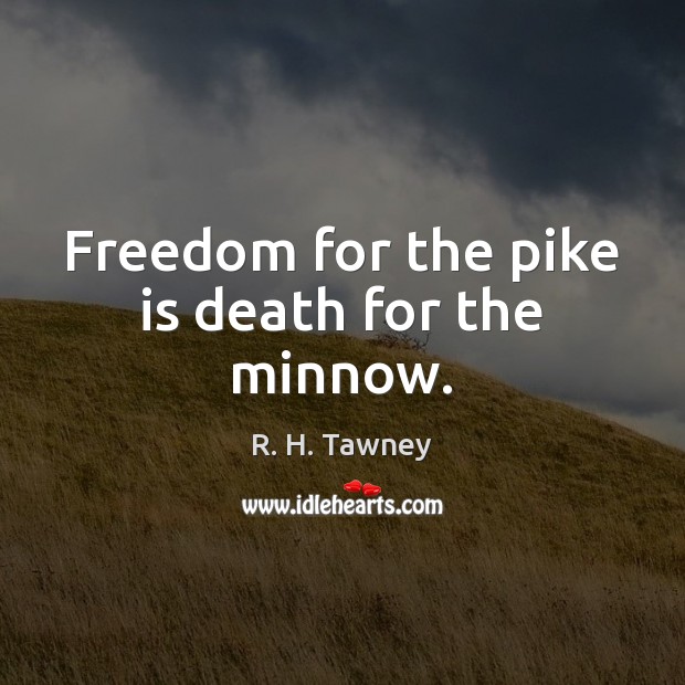 Freedom for the pike is death for the minnow. R. H. Tawney Picture Quote