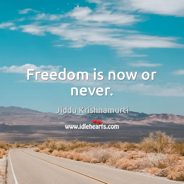 Freedom is now or never. Now or Never Quotes Image
