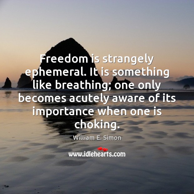 Freedom is strangely ephemeral. It is something like breathing; one only becomes Freedom Quotes Image