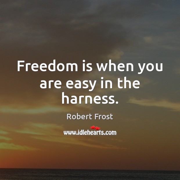 Freedom is when you are easy in the harness. Robert Frost Picture Quote