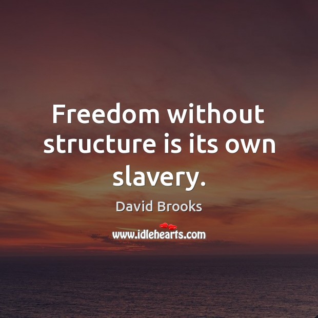 Freedom without structure is its own slavery. David Brooks Picture Quote