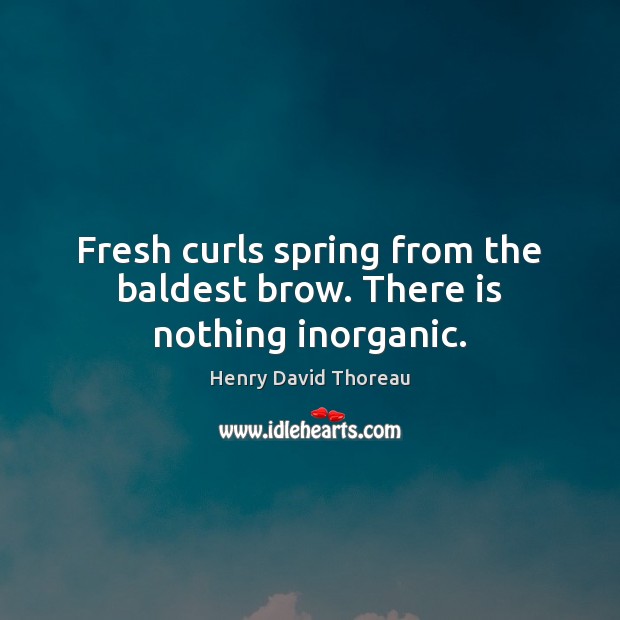 Fresh curls spring from the baldest brow. There is nothing inorganic. Henry David Thoreau Picture Quote