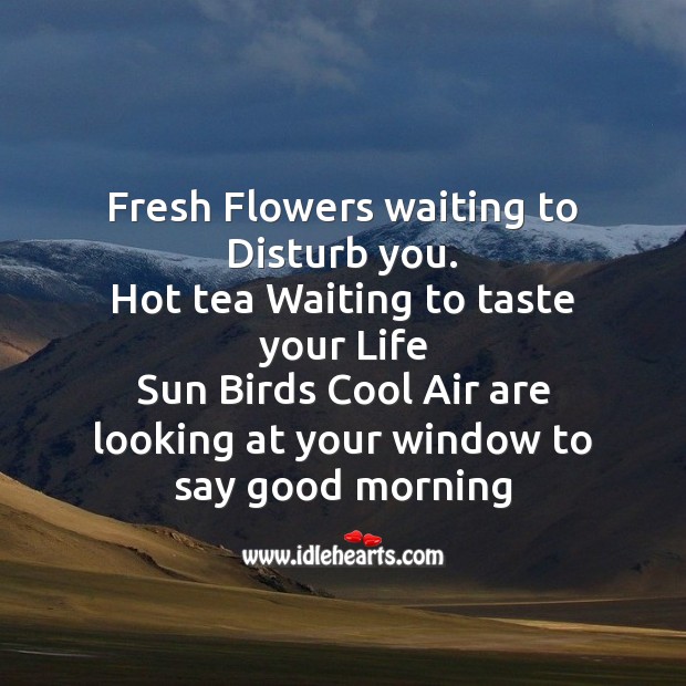 Fresh flowers waiting to disturb you. Good Morning Messages Image
