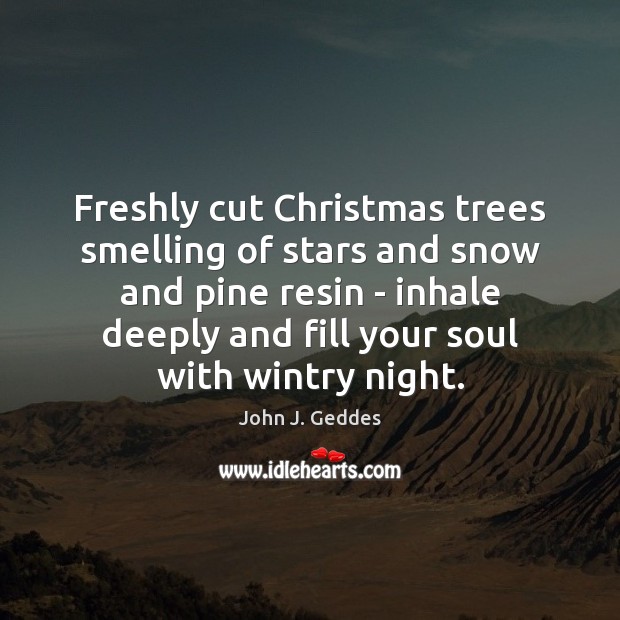 Freshly cut Christmas trees smelling of stars and snow and pine resin 