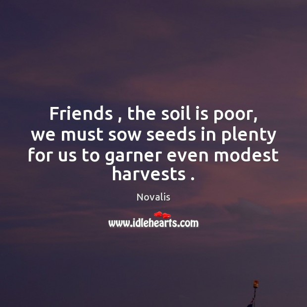 Friends , the soil is poor, we must sow seeds in plenty for Novalis Picture Quote