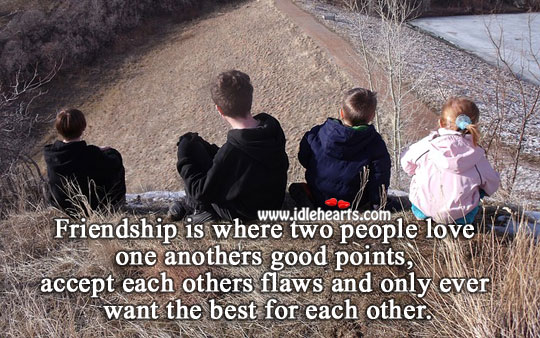 Friendship is where two people love one anothers good points Image