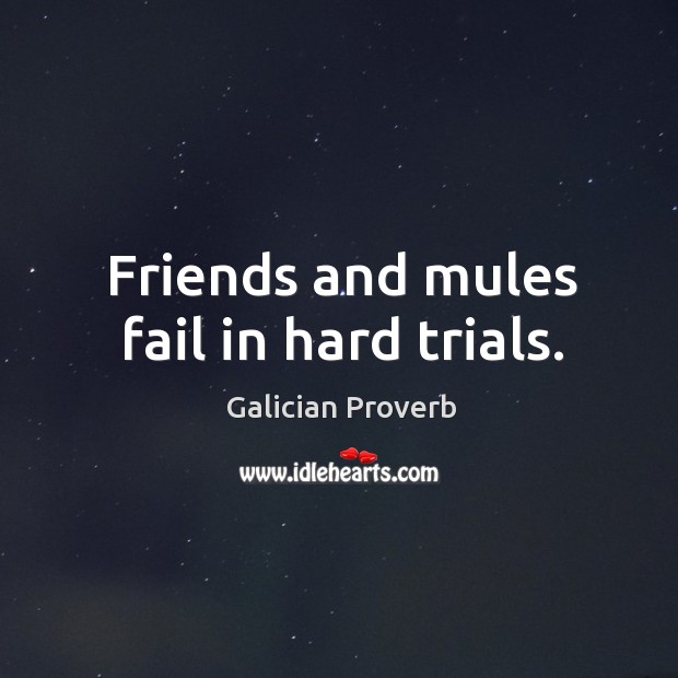 Friends and mules fail in hard trials. Galician Proverbs Image