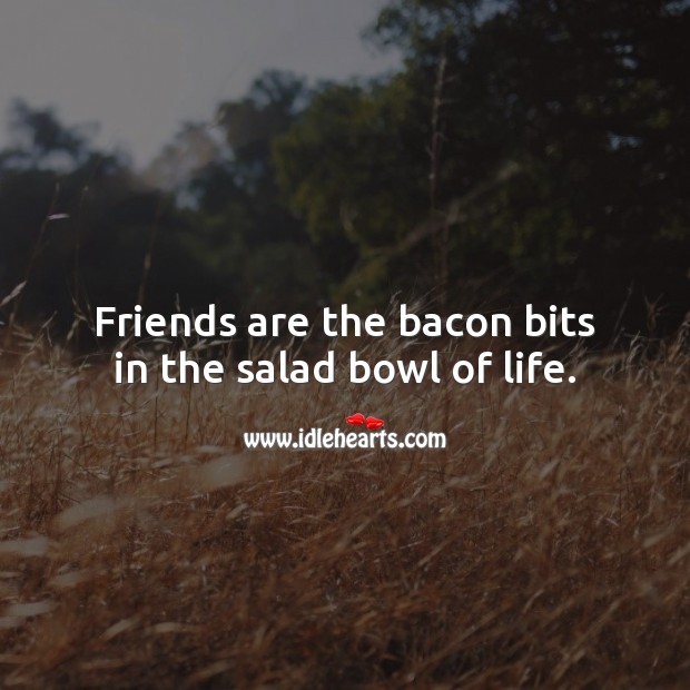 Friends are the bacon bits in the salad bowl of life. Funny Friendship Quotes Image