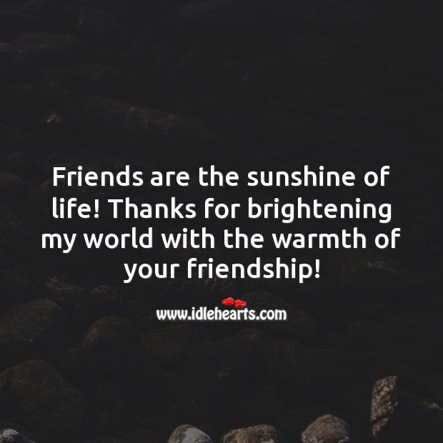 Thanks for brightening my world with the warmth of your friendship! Friendship Messages Image