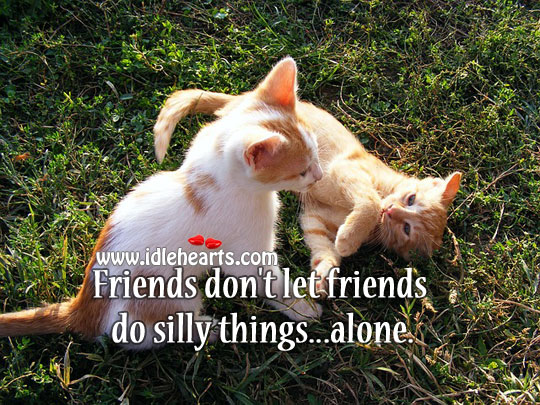 Friends don’t let friends do silly things…alone. Image
