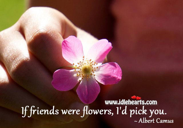 If friends were flowers, i’d pick you. Albert Camus Picture Quote