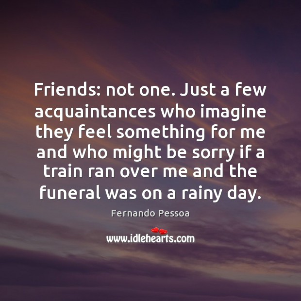 Friends: not one. Just a few acquaintances who imagine they feel something Fernando Pessoa Picture Quote