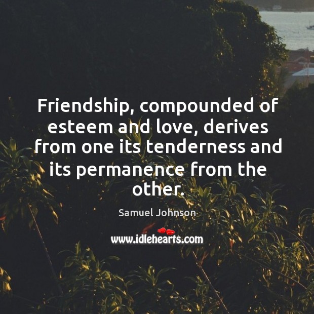Friendship, compounded of esteem and love, derives from one its tenderness and Image