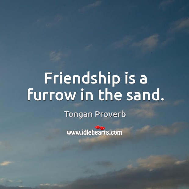 Friendship is a furrow in the sand. Image