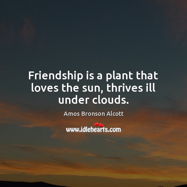 Friendship is a plant that loves the sun, thrives ill under clouds. 